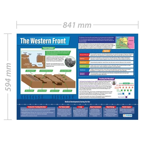 Medicine on the Western Front Poster