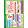 Inherited Disorders Poster
