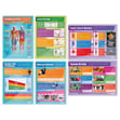 Physical Education Posters - Set of 40