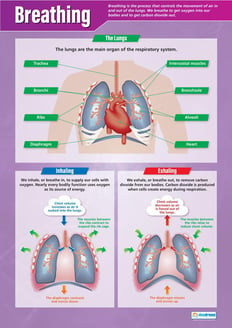 Breathing Poster