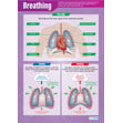 Breathing Poster