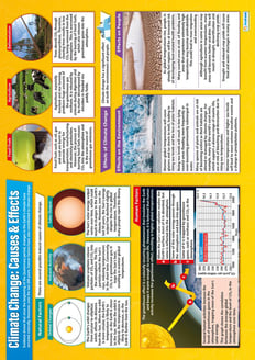 Climate Change: Causes & Effects Poster