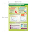 Exothermic & Endothermic Reactions Poster