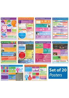 Sociology Posters - Set of 20 