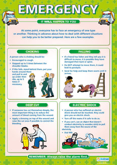 Emergency Poster