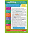Essay Writing Poster