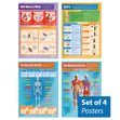 Muscular & Skeletal System Posters - Set of 4