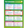 File Extensions Poster