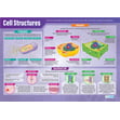 DNA and Cell Structure Posters - Set of 2