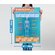 The Skeletal System Poster