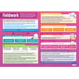 Geographical Enquiry Posters - Set of 5