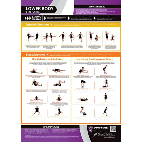 Lower Body Stretching Poster - Innovative Gym & Fitness Charts