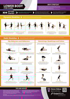 Lower Body Stretching Poster