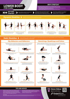 Lower Body Stretching Poster