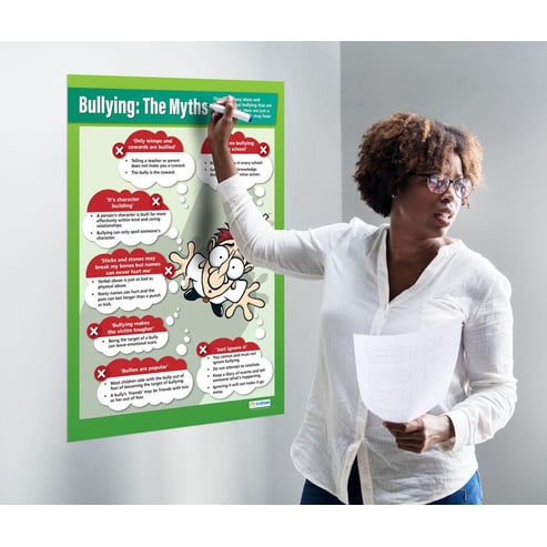 Bullying: The Myths Poster