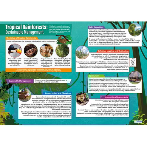 Tropical Environments Posters - Set of 3