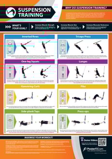 Suspension Training Poster