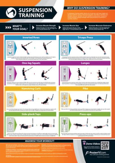 Suspension Training Poster