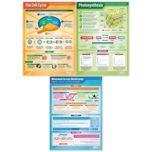 Biology Posters - Set of 13 