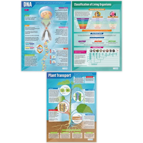 Biology Posters - Set of 13 