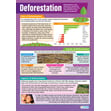 Human Environmental Impact Posters - Set of 4