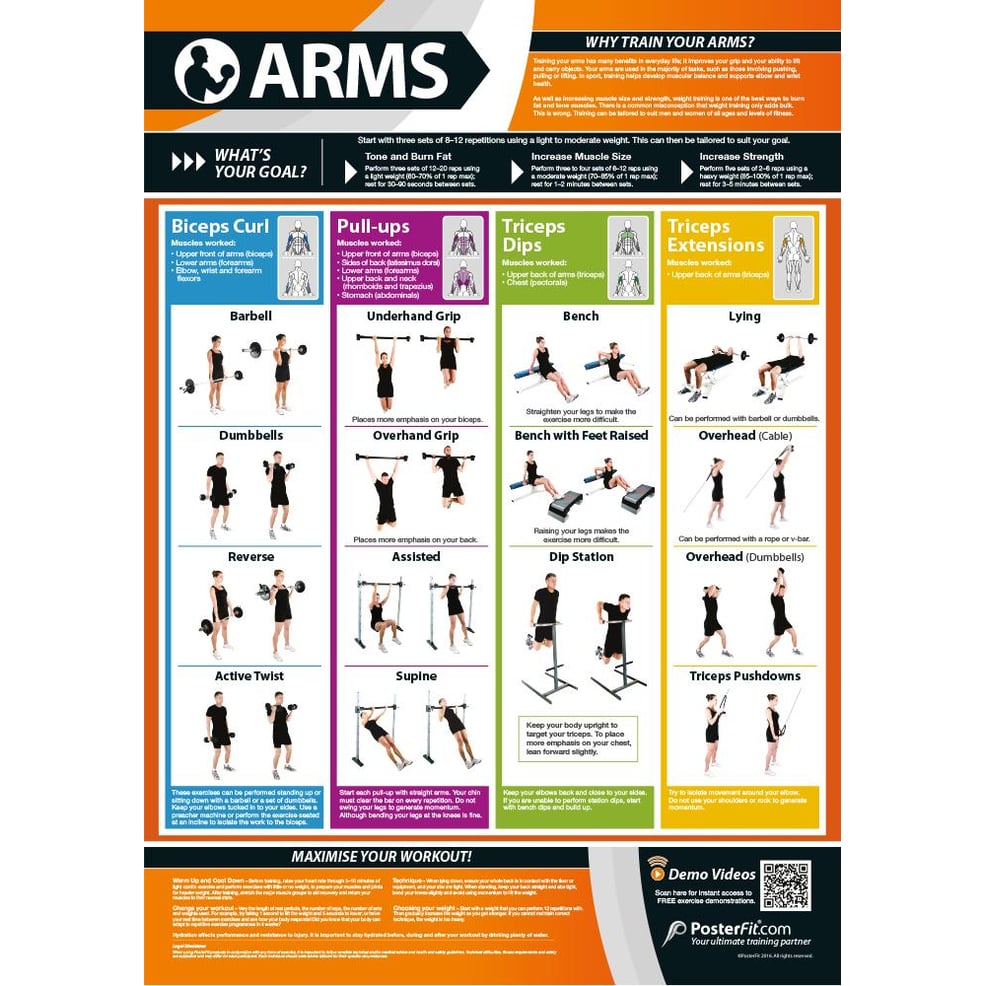 Arms Poster Innovative Gym Fitness Charts