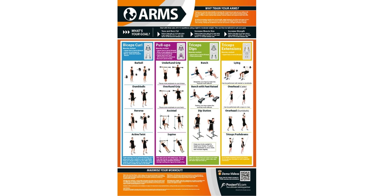 Arms Poster Innovative Gym Fitness Charts