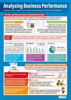 Analysing Business Performance Poster