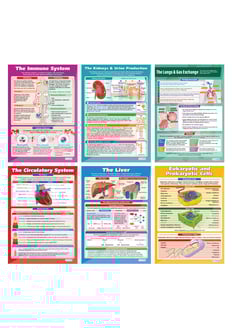 Biology High School Posters - Set of 6
