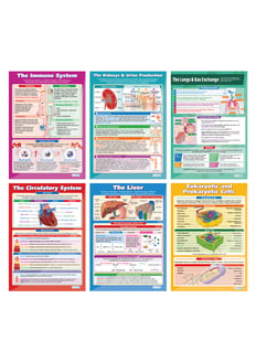 Biology High School Posters - Set of 6