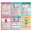 Biology A-Level Posters - Set of 6