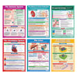 Biology High School Posters - Set of 6