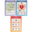 Citizenship Posters - Set of 3 