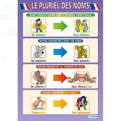 Le Pluriel des Noms Poster