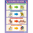 Le Pluriel des Noms Poster