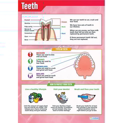 Teeth Poster