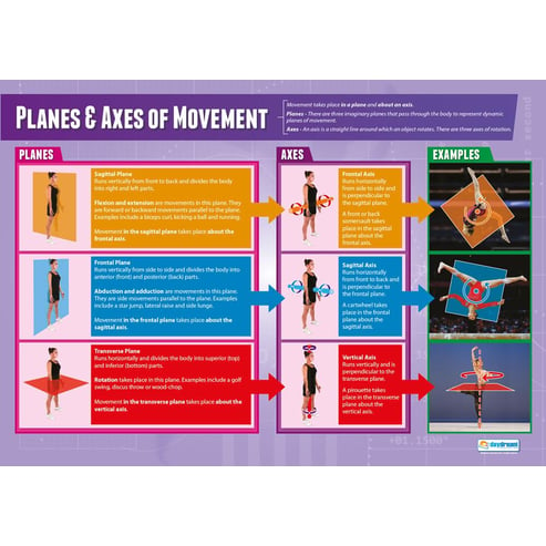 Movement Analysis Posters - Set of 2