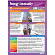 Energy Insecurity Poster