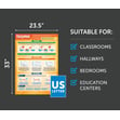 Enzymes Poster