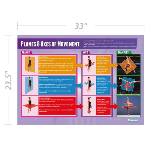 Planes and Axes of Movements Poster