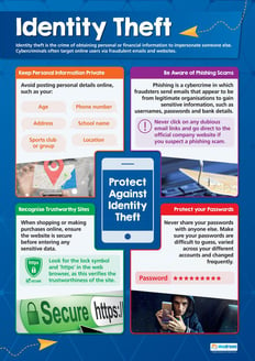 Identity Theft Poster