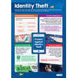 Identity Theft Poster