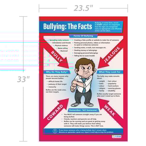 Bullying: The Facts Poster