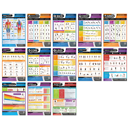 Health and Fitness Posters - Set of 13 