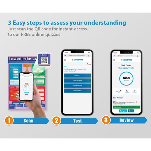 Program Flow Control Poster