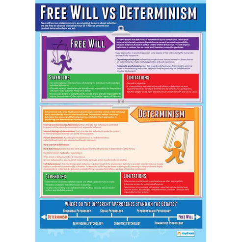 Free Will vs Determinism Poster