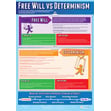 Free Will vs Determinism Poster