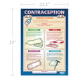 Contraception Poster