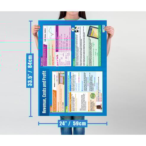 Revenue, Cost and Profit Poster