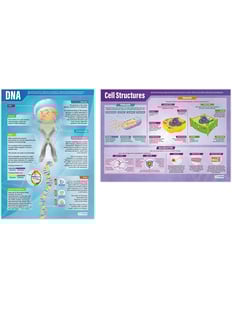DNA and Cell Structure Posters - Set of 2